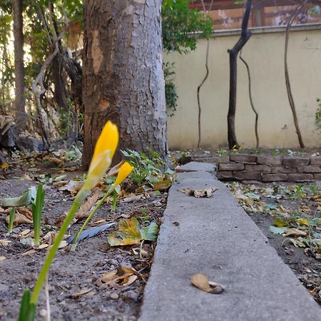 Charming Central Home With Garden Near Parking And Ndk Sofia Esterno foto
