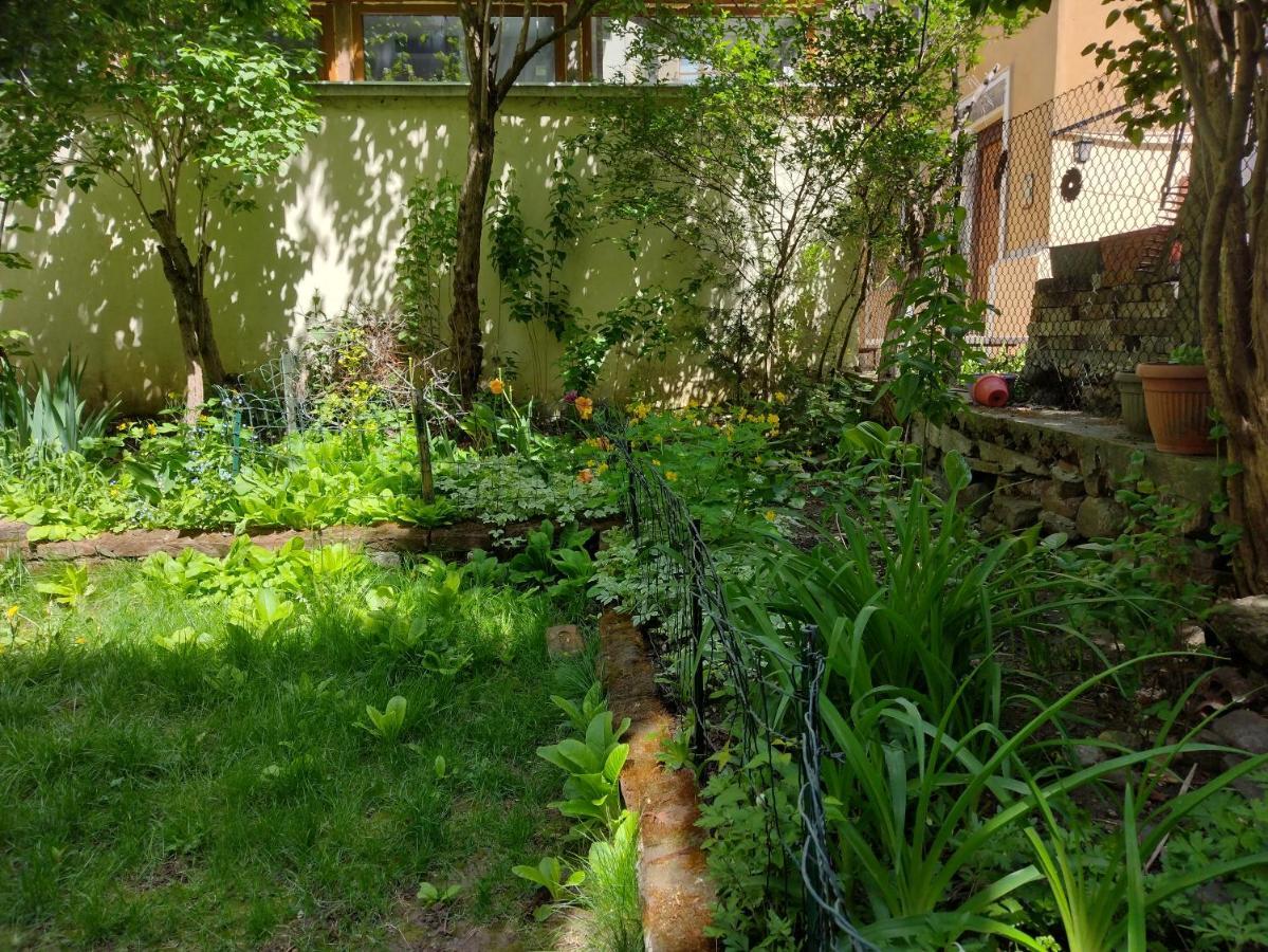 Charming Central Home With Garden Near Parking And Ndk Sofia Esterno foto